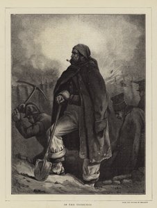 Siperlerde